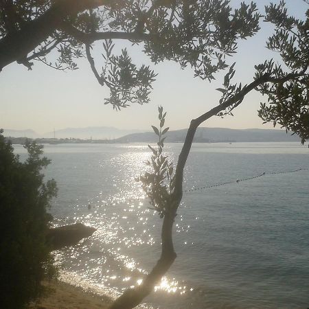 Apartments Stanko Trogir Zewnętrze zdjęcie